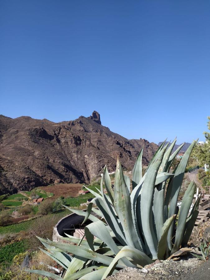 Ecoartejeda Cave House Tejeda (Gran Canaria) Exterior photo